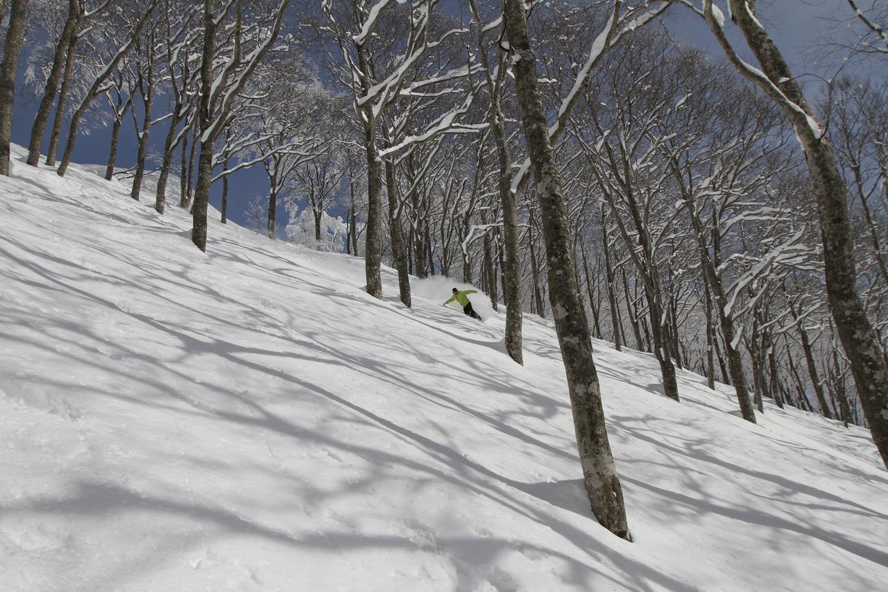 Powder Temple Hotell Hakuba Eksteriør bilde